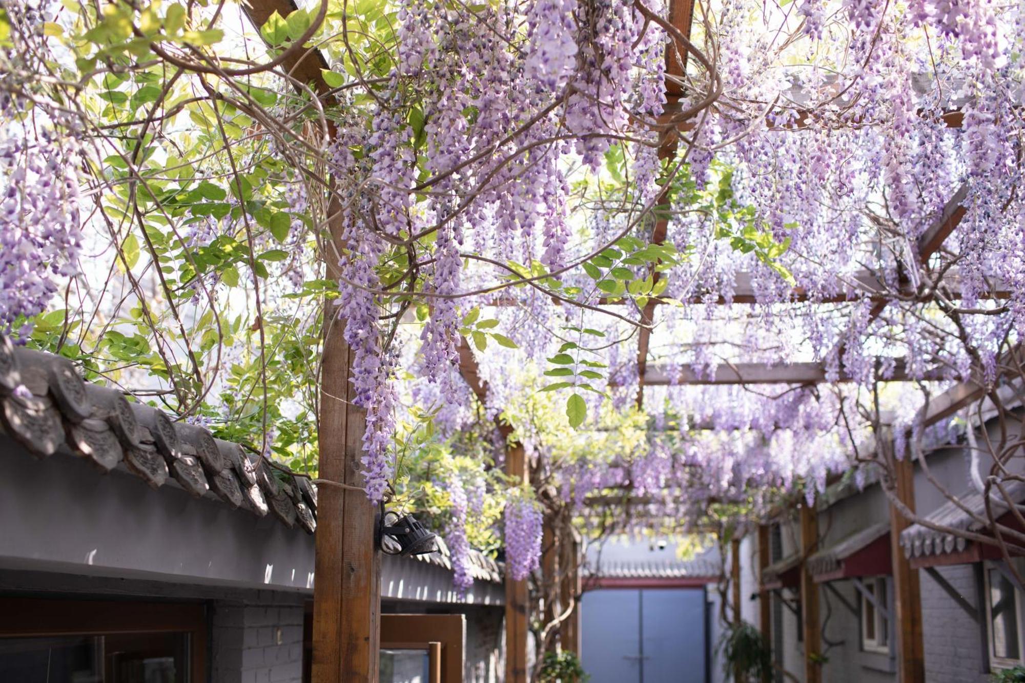 Guipu Beihai Courtyard Hotel Beijing Exterior photo